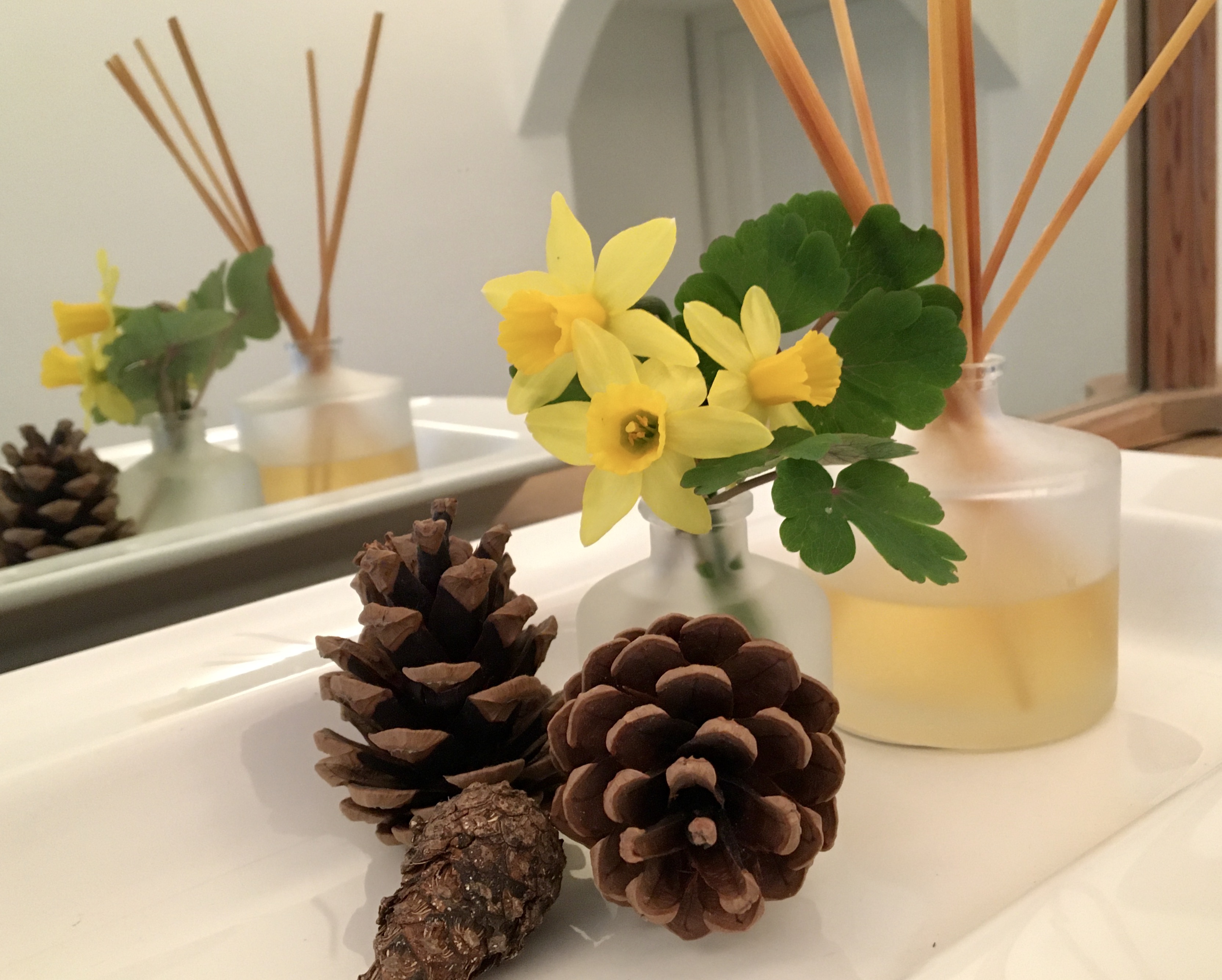 Daffodils and pine cones inside