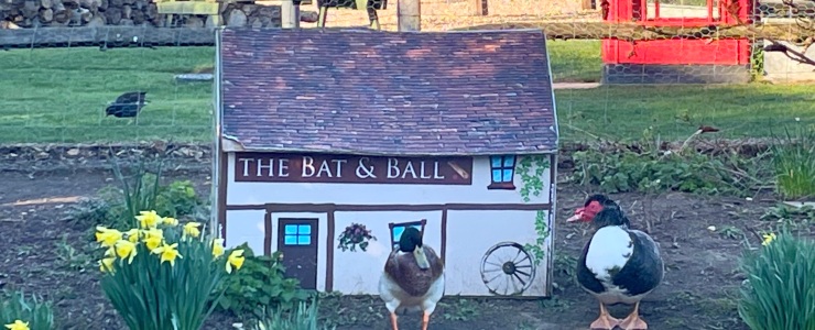 Quirky Bat & Ball pub!